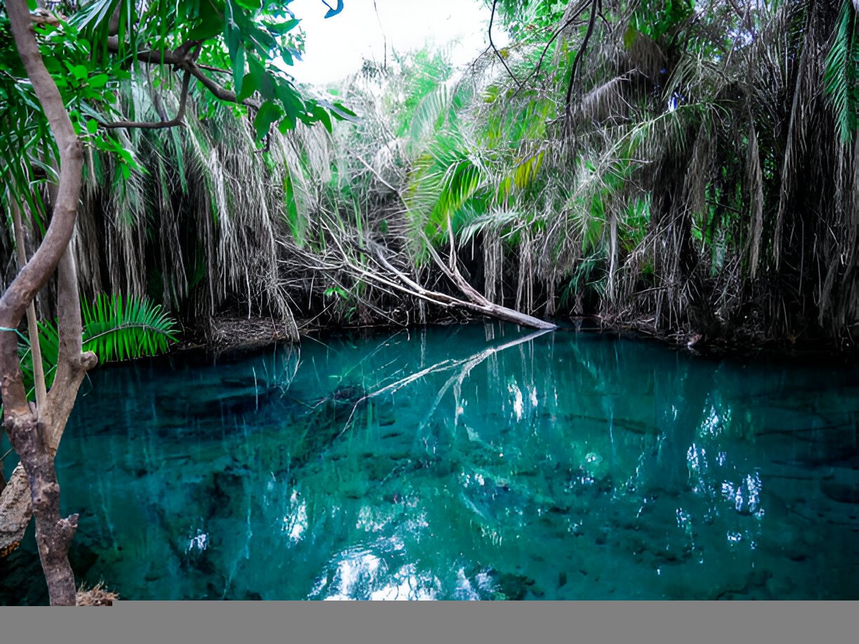 chemka hotsprings 1 day trip